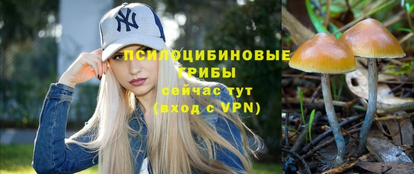 дмт Баксан