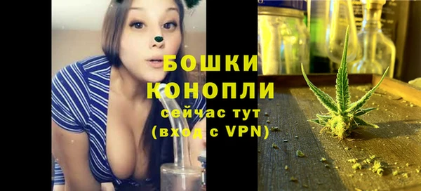 PSILOCYBIN Балабаново